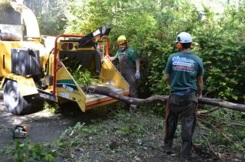 tree services Oroville East